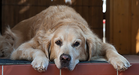 Leistungen geriatrie