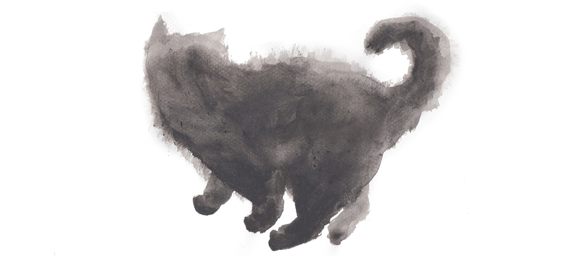 Zeichnung einer Katze