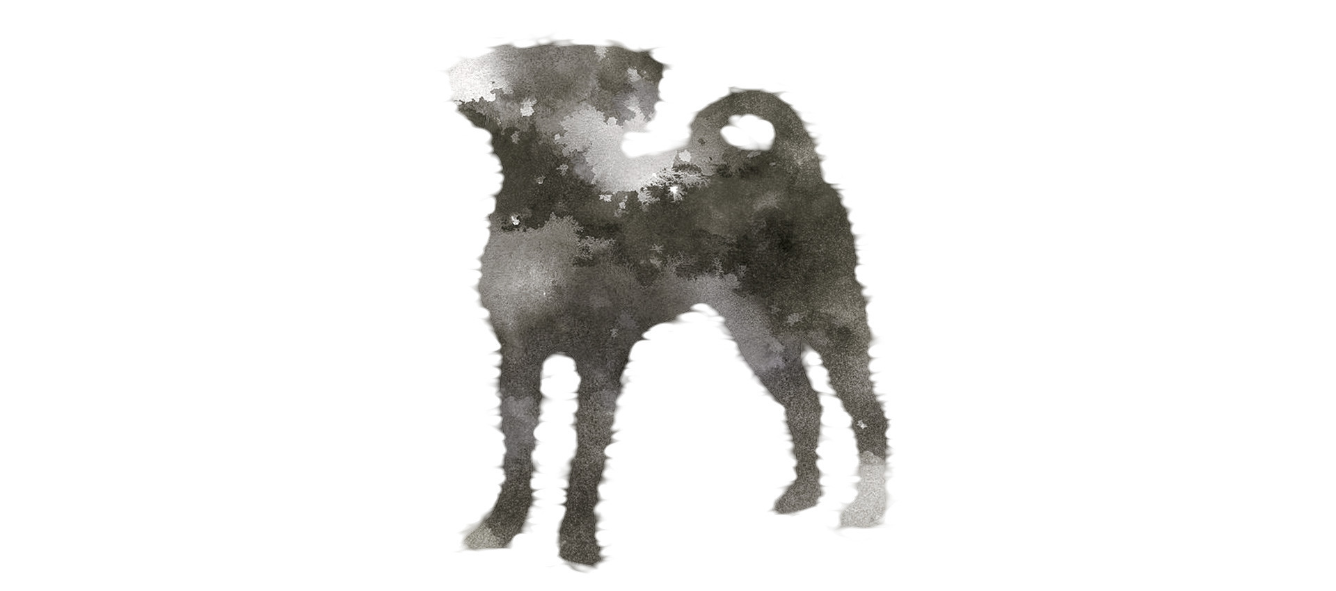 Zeichnung eines Hundes